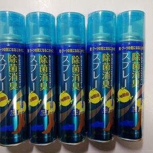 靴ブーツ用除菌消臭スプレーAg+ 160gX5本