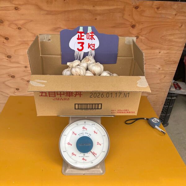 令和7年産 丹波産 自家栽培ニンニク3kg