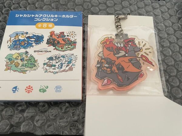 OTENKI TEAM シャカシャカアクリルキーホルダー ポケモン グッズ アクキー グライドン リザードン アクリルキーホルダー
