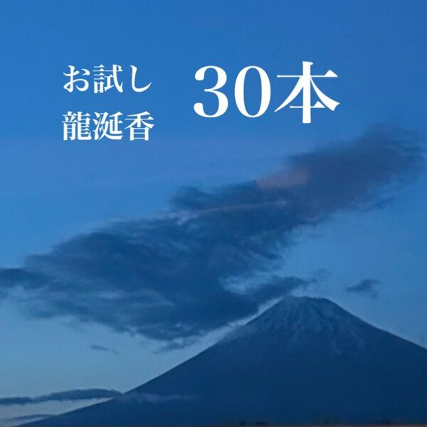 お試し 30本 龍涎香 お香