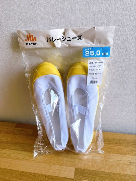 新品未使用 上履き スクールシューズ 上靴 25.0 室内シューズ