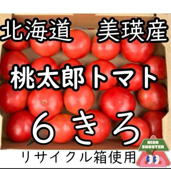 北海道美瑛産 フレッシュ&ジューシー!訳あり桃太郎トマト