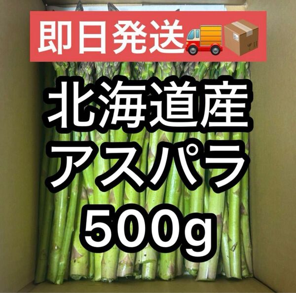 【朝採れ直送】北海道産アスパラ S〜2L混合 A品