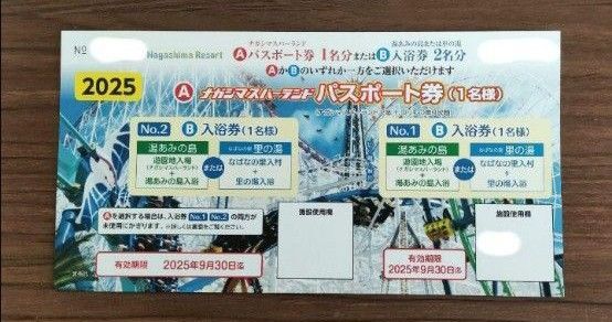 ナガシマスパーランド パスポート1枚