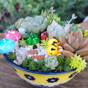 ミツバチときのこのお家 多肉植物寄せ植え そのまま飾れる陶器