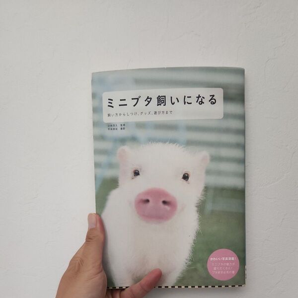 ミニブタ飼いになる 飼い方からしつけ、グッズ、遊び方まで 小林茂久/監修 平林美紀/撮影