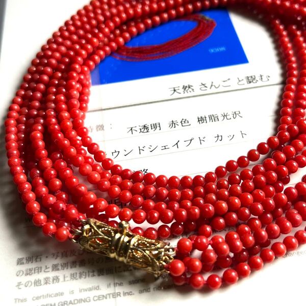 鑑別書付き◇血赤珊瑚 5連 セミロングネックレス 丸玉 シルバー刻印 高島屋購入
