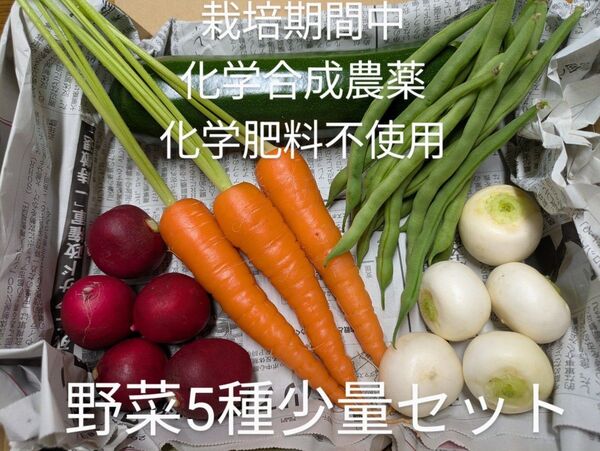 【広島県産】栽培期間中 化学合成農薬・化学肥料不使用 野菜5種以上 少量セット季節の詰め合わせ