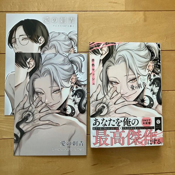 愛の刺青 赤色マッシュ アニメイト小冊子 アニメイトリーフレット付き