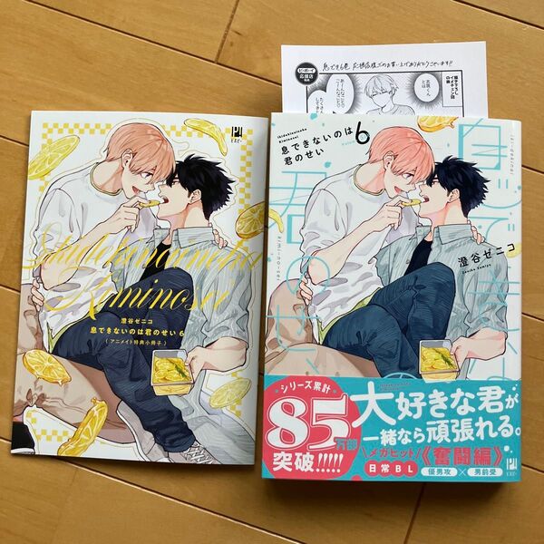 息できないのは君のせい 6 アニメイト小冊子 ペーパー付 澄谷ゼニコ