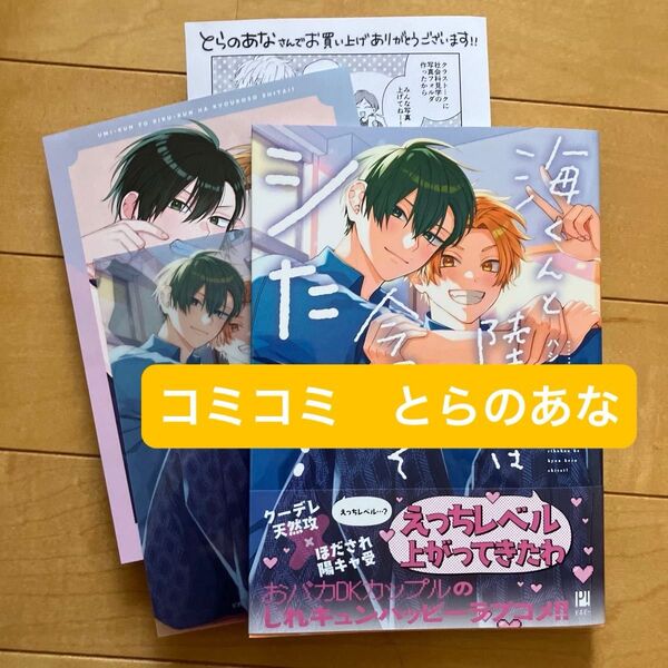 海くんと陸くんは今日こそシたい! ハシモトミツ コミコミリーフレット とらのあなペーパー付き