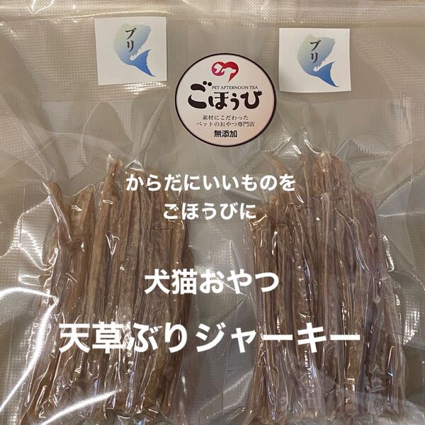 犬猫おやつ 無添加 天草ぶりジャーキー