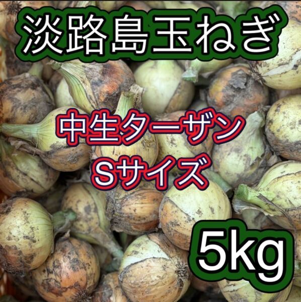 淡路島産 玉ねぎ 中生 ターザン Sサイズ 5kg