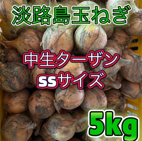 淡路島産 玉ねぎ 中生 ターザン SSサイズ 5kg