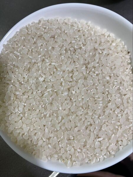 令和6年産 国産米 1.5キロ