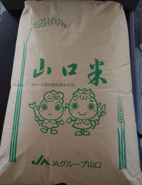 令和6年産 こしひかり お米 20kg