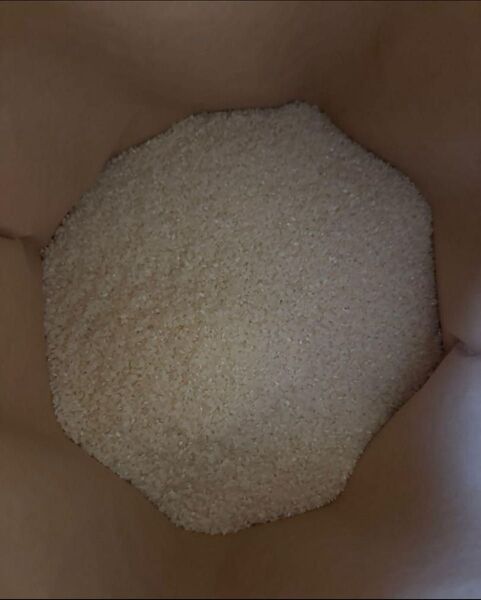 青森県産 令和6年 1.5キロ