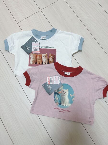 《新品》しまむら softcheese ニコ ねこTシャツ 2枚セット 80