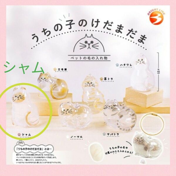 【塗装ミスあり】 うちの子のけだまだま 《 シャム 》 ワイヤー付き ガチャガチャ カプセルトイ ペットの毛のいれ物
