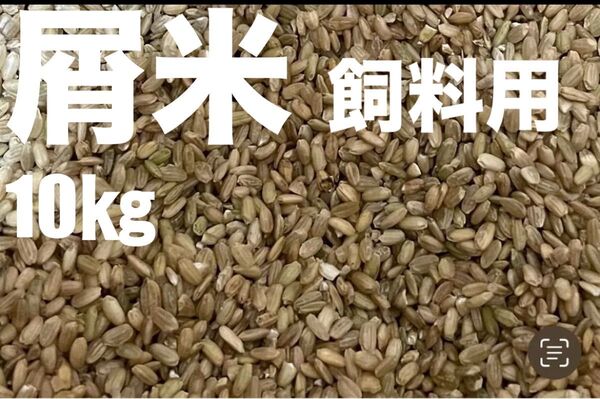 大分県産米お米 屑米 くず米 小米 飼料用 10㎏キロ