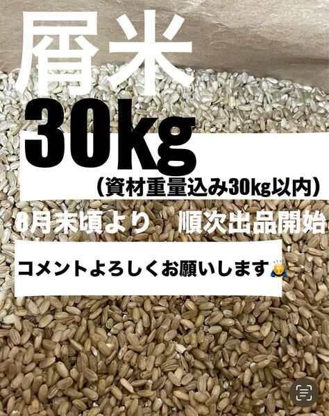 大分県産米お米 屑米 小米 飼料用 約30㎏キロ