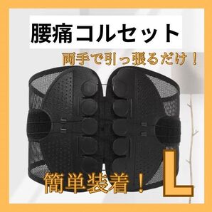 腰痛ベルト Lサイズ姿勢矯正 コルセット 骨盤ベルト腰ベルト ブラック