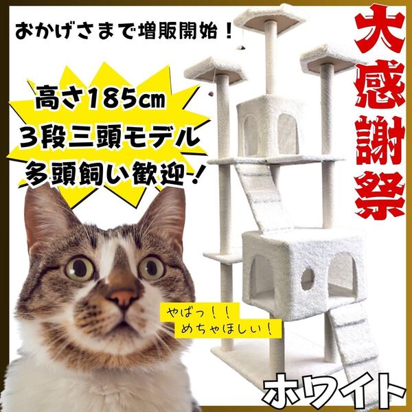 キャットタワー 猫 大型 爪研ぎ 多頭飼い 据え置き 日本語説明書付き おもちゃ キャットウォーク 人気 多頭飼い ホワイト