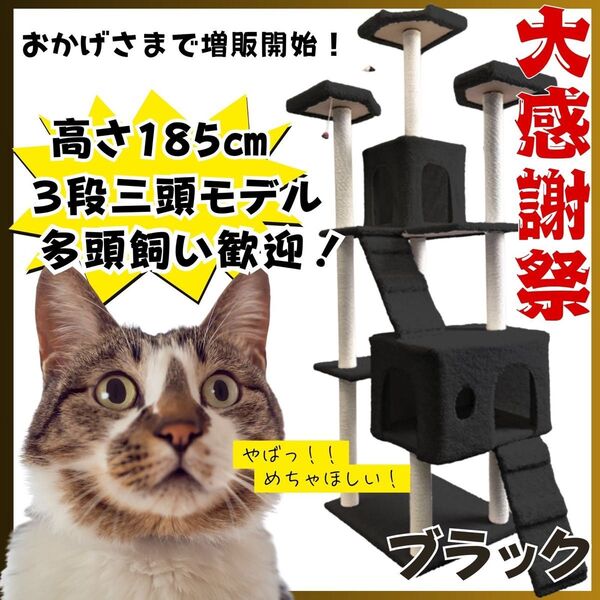 キャットタワー 猫 大型 爪研ぎ 多頭飼い 据え置き 日本語説明書付き おもちゃ キャットウォーク 人気 多頭飼い ブラック