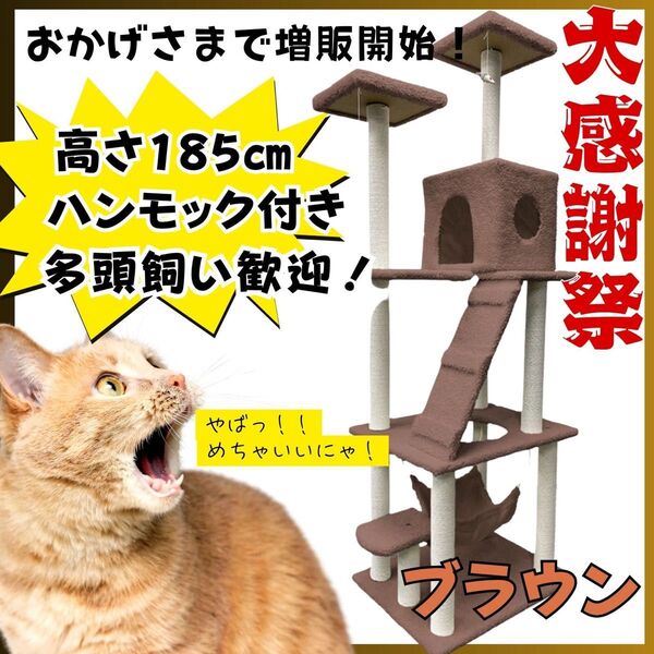 キャットタワー 猫 大型 爪研ぎ 多頭飼い 据え置き ハンモック 日本語説明書付き おもちゃ キャットウォーク 人気 ブラウン