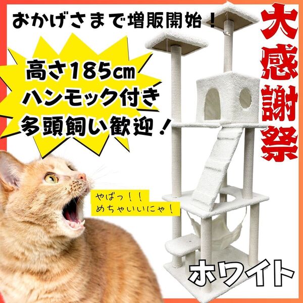 キャットタワー 猫 大型 爪研ぎ 多頭飼い 据え置き ハンモック 日本語説明書付き おもちゃ キャットウォーク 人気 ホワイト