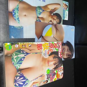 榎原依那 ローソン限定クリアファイル 漫画アクション 未読