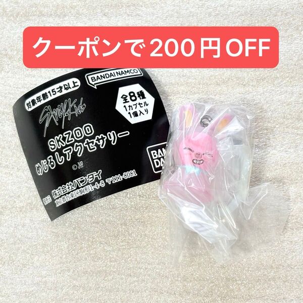 SKZOO めじるしアクセサリー トェッキ チャンビン ガチャガチャ カプセルトイ straykids スキズ ①