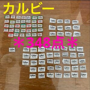 カルビーファンタスティックキャンペーン 2025 応募券 348点