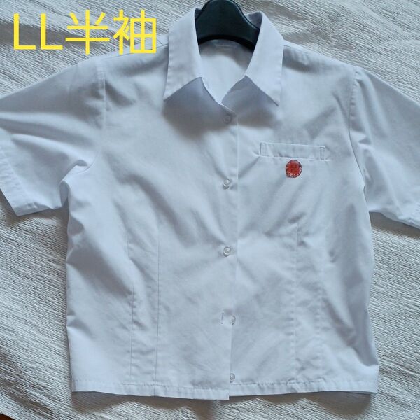 LL半袖 ブラウス白 /衣替え /洗い替え /スクールシャツ /女子ブラウス /人気商品 【最終価格です】