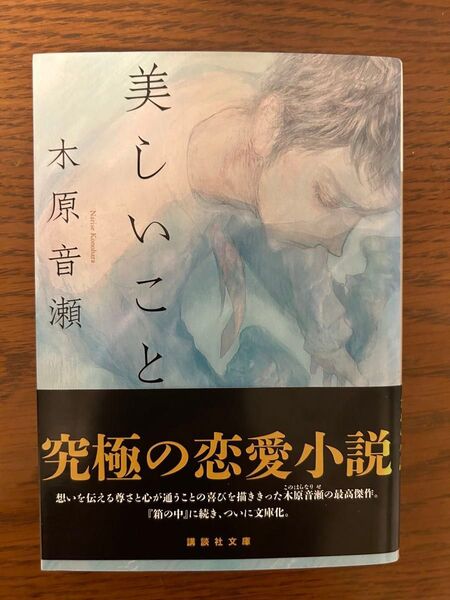 美しいことと究極の恋愛小説 木原音瀬 講談社文庫