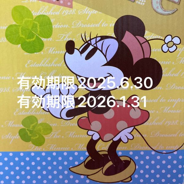 ディズニーチケット 2枚 ディズニーシー ディズニーランド ディズニーリゾート