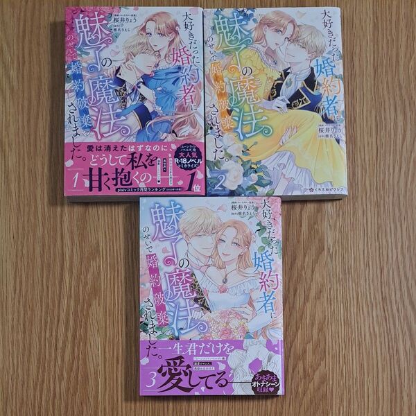 大好きだった婚約者に魅了の魔法のせいで婚約破棄されました。 全3巻