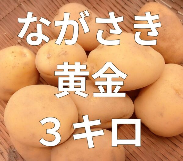 新じゃが☆ながさき黄金☆3キロ☆長崎県産