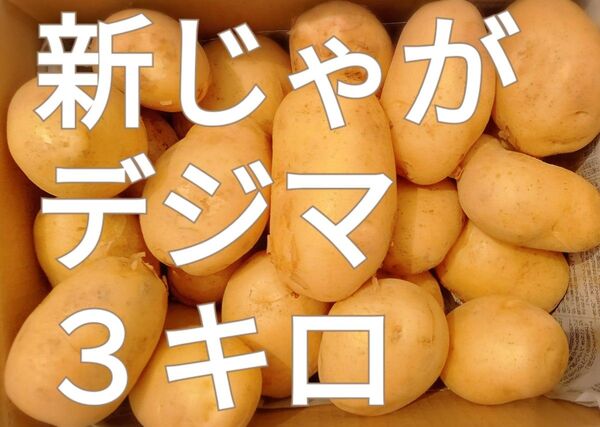 新じゃが◯デジマ◯3キロ◯長崎県産