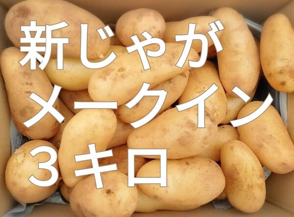 新じゃが☆メークイン☆3キロ☆長崎県産