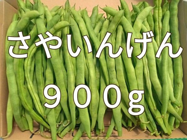いんげん豆☆隠元豆☆900g☆長崎県産