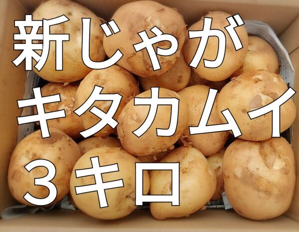 新じゃが☆キタカムイ☆3キロ☆長崎県産