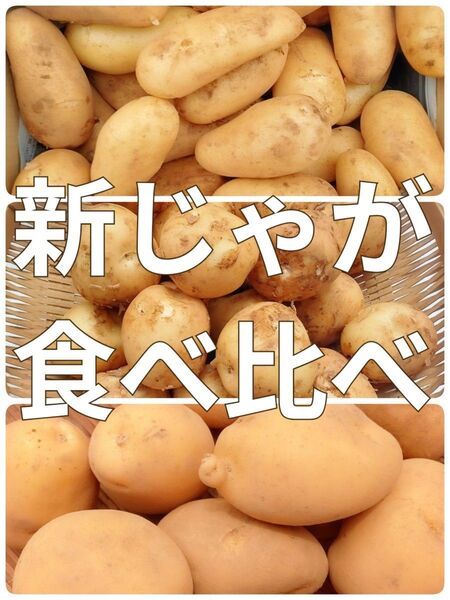 新じゃがいも◯食べ比べ3点セット◯各1キロ◯計3キロ◯長崎県産