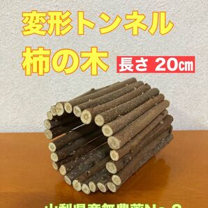 変形トンネル 柿の木 No.2 小動物おもちゃ 山梨県産完全無農薬 ペット ハムスター