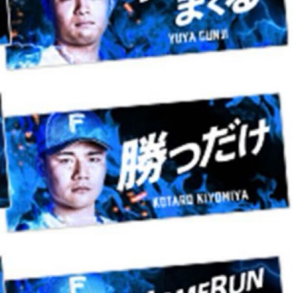 北海道日本ハムファイターズ 配布 エスコンフィールドHOKKAIDO メッセージタオル 清宮幸太郎