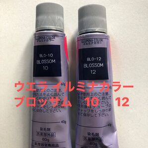 ウエラ イルミナカラー ブロッサム 10明度 12明度