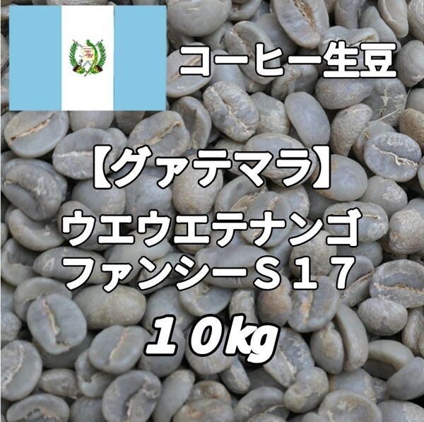 【グァテマラ】ウエウエテナンゴ・ファンシーS17 コーヒー生豆10kg(コーヒー生豆 自家焙煎 コーヒー豆 コーヒー 珈琲)