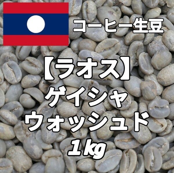 【ラオス】ゲイシャ・ウォッシュド コーヒー生豆 1kg(コーヒー生豆 自家焙煎 コーヒー豆 コーヒー 珈琲)