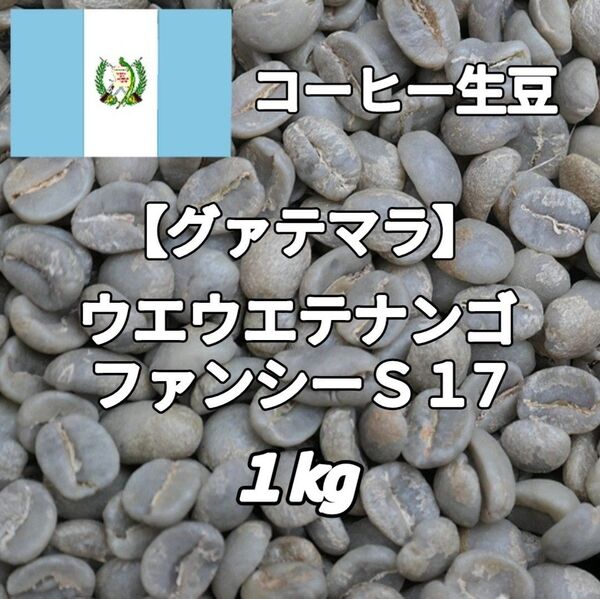 【グァテマラ】ウエウエテナンゴ・ファンシーS17 コーヒー生豆1kg(コーヒー生豆 自家焙煎 コーヒー豆 コーヒー 珈琲)