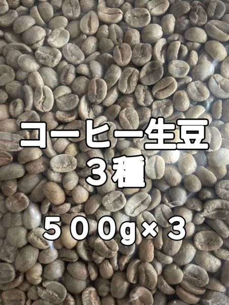 コーヒー生豆3種 合計1.5kg(コーヒー生豆 自家焙煎 コーヒー豆 コーヒー 珈琲)